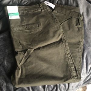 Pixie ankle pants size 18